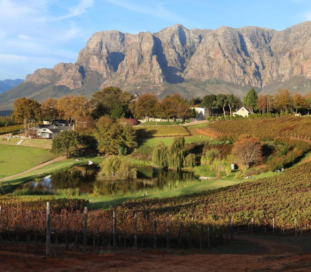 Alluvia Boutique Winery & Luxury Accommodation Stellenbosch Luaran gambar The Paarl Mountain Range