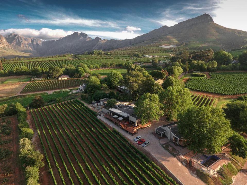 Alluvia Boutique Winery & Luxury Accommodation Stellenbosch Luaran gambar Aerial view of the winery