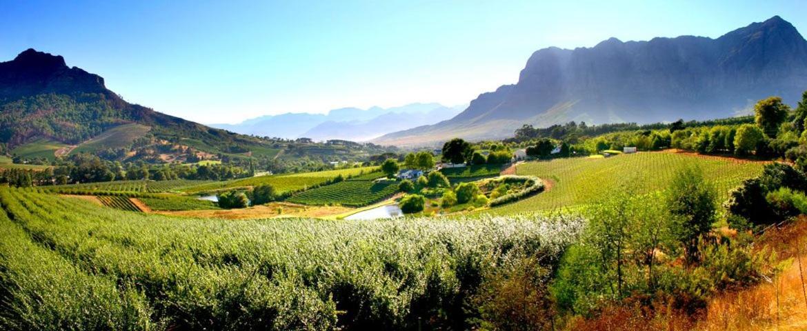 Alluvia Boutique Winery & Luxury Accommodation Stellenbosch Luaran gambar The Paarl Wine Route
