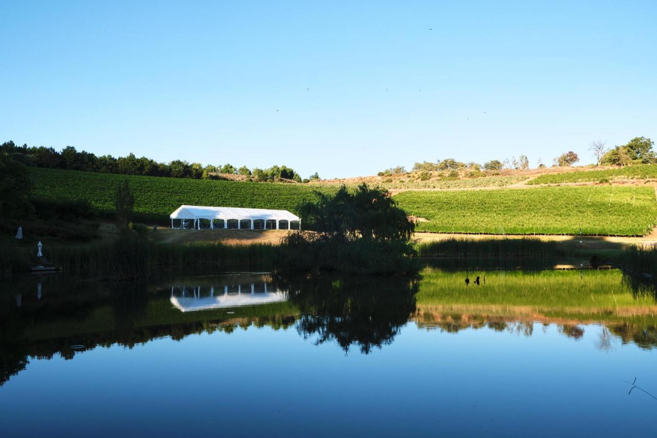Alluvia Boutique Winery & Luxury Accommodation Stellenbosch Luaran gambar The vineyard at the winery
