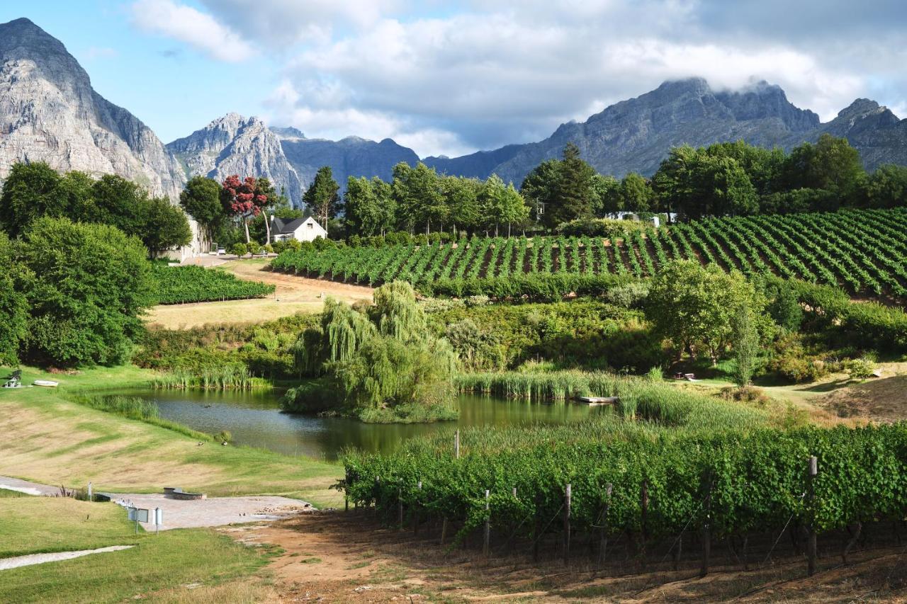 Alluvia Boutique Winery & Luxury Accommodation Stellenbosch Luaran gambar Wine estate in Stellenbosch