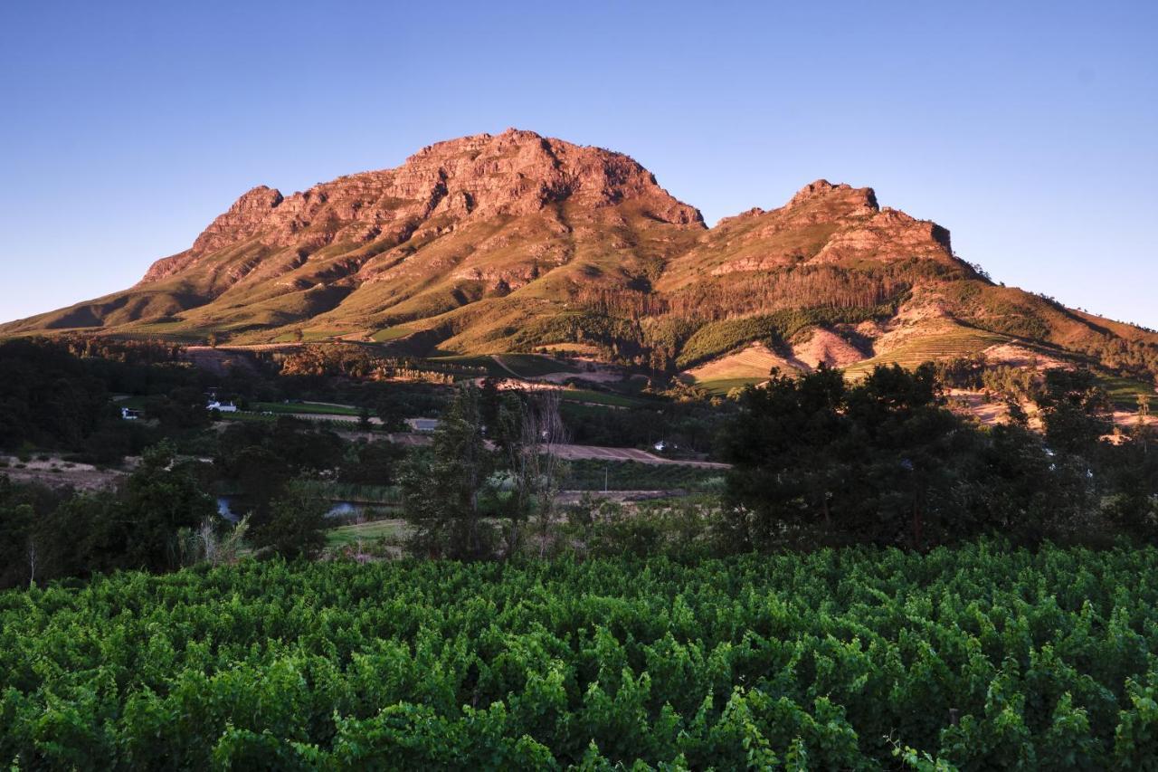 Alluvia Boutique Winery & Luxury Accommodation Stellenbosch Luaran gambar The Paarl Mountain