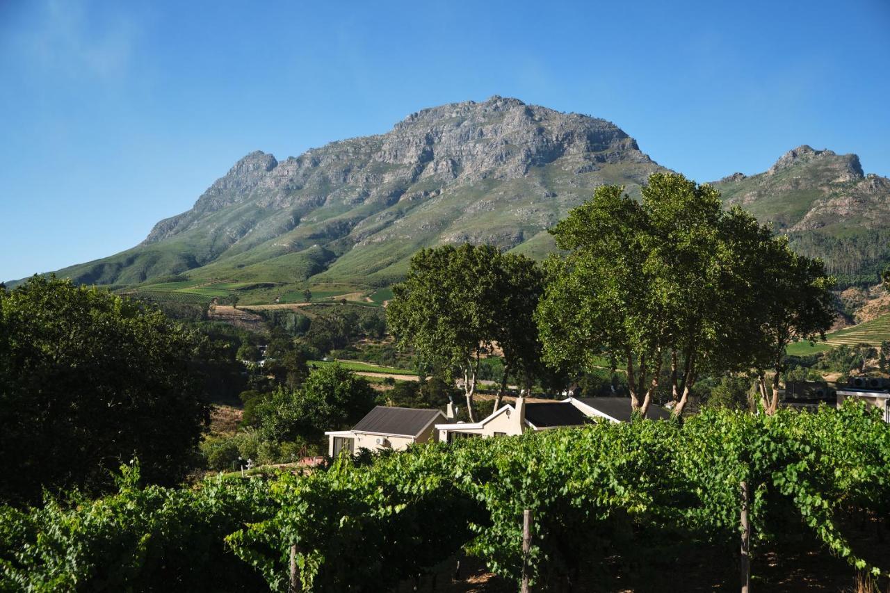 Alluvia Boutique Winery & Luxury Accommodation Stellenbosch Luaran gambar Wine estate in Stellenbosch