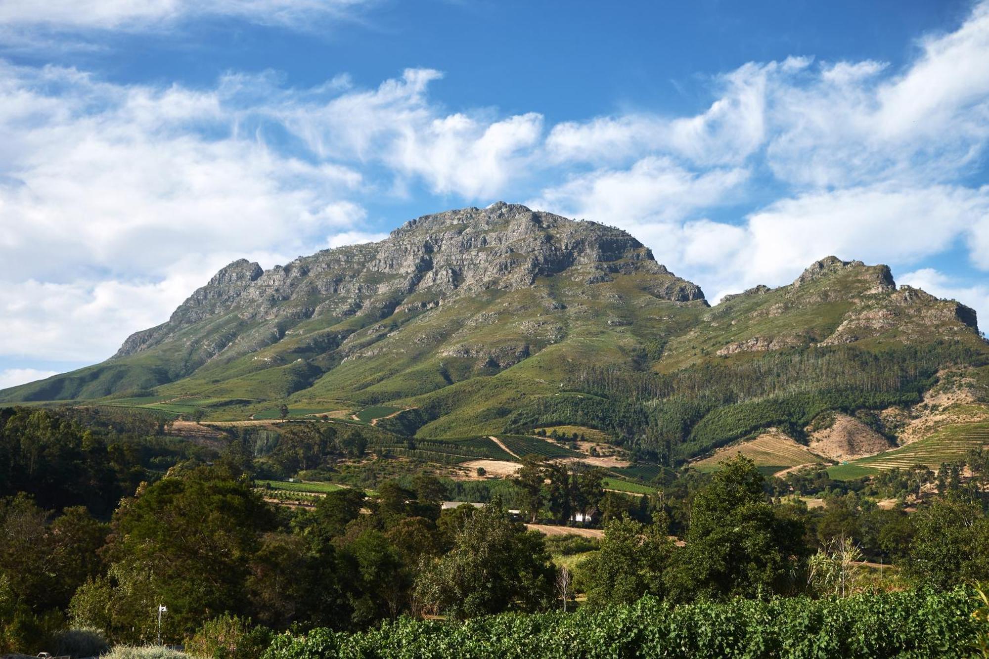 Alluvia Boutique Winery & Luxury Accommodation Stellenbosch Bilik gambar The Helderberg