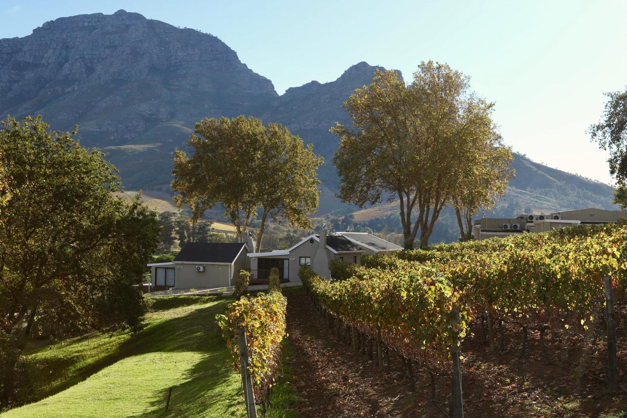 Alluvia Boutique Winery & Luxury Accommodation Stellenbosch Bilik gambar Wine estate in Stellenbosch