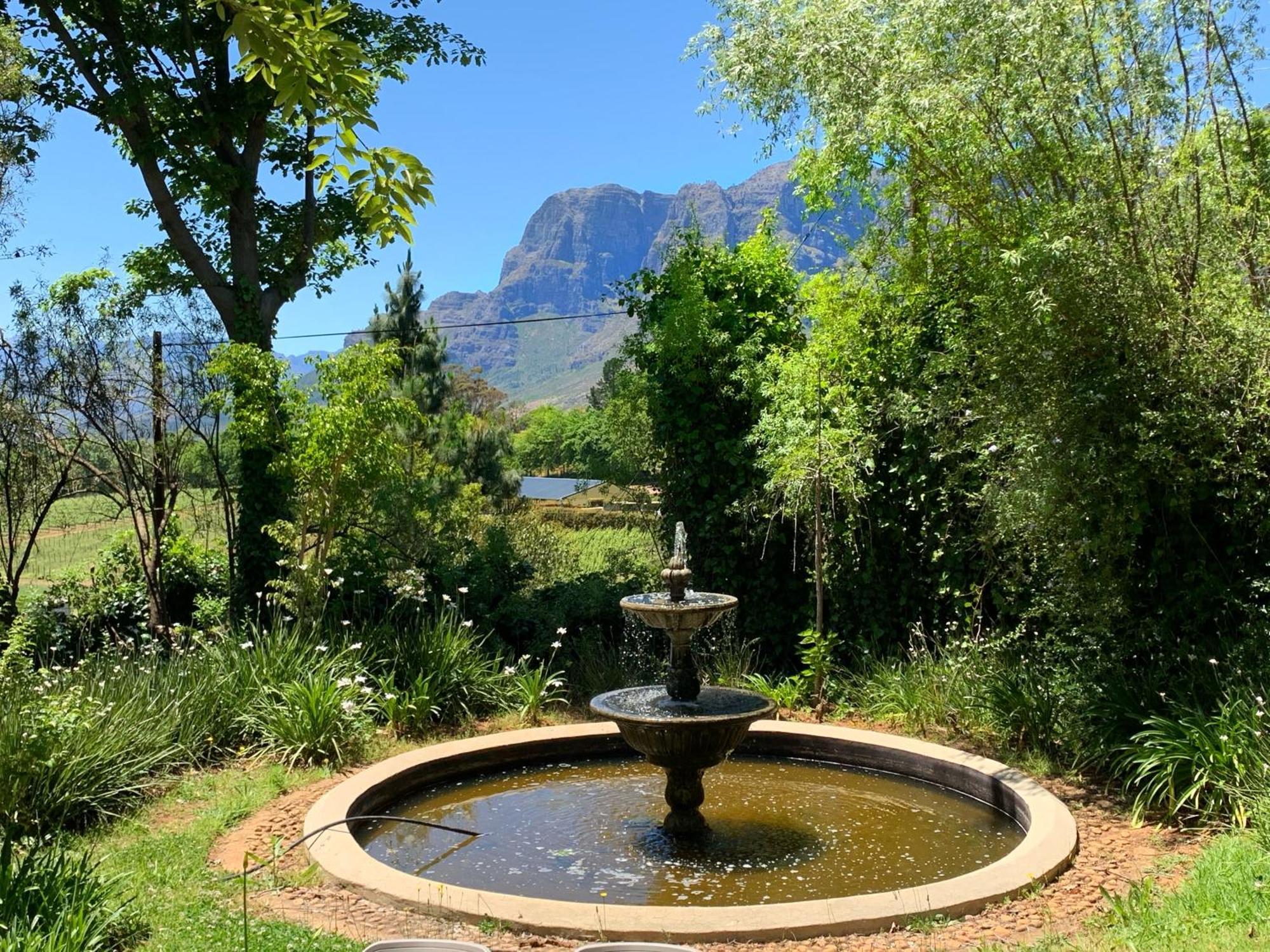 Alluvia Boutique Winery & Luxury Accommodation Stellenbosch Bilik gambar Fountain at the entrance of the Tokai Arboretum